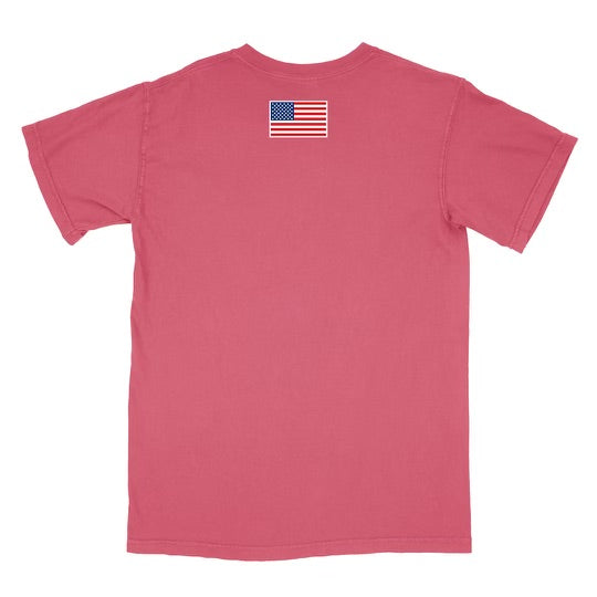Nantucket Red Buzzards Bay Basins T-Shirt - American Flag on Arm